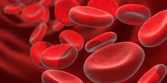 Entzündungswerte im Blut Entzündungsparameter des Blutes