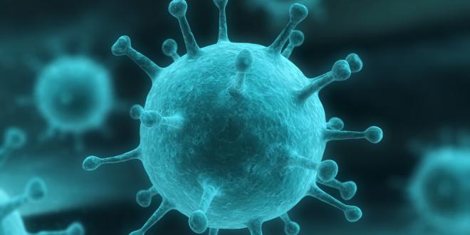 Hepatitis B Hepatitis B