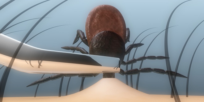 Parasitäre Erkrankungen