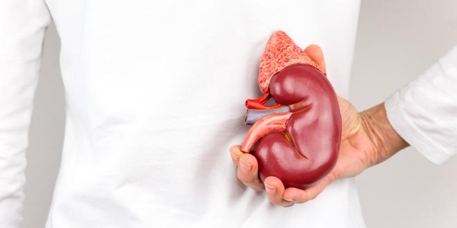 Diabetes insipidus Wasserharnruhr