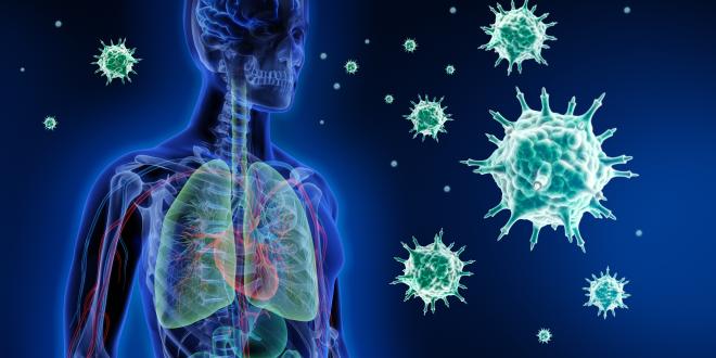 Infektiologie Virus Infektionen