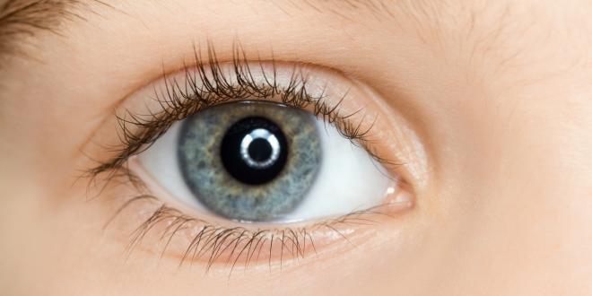 Uveitis Auge