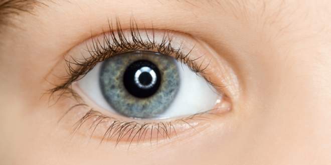 Eiter im Auge