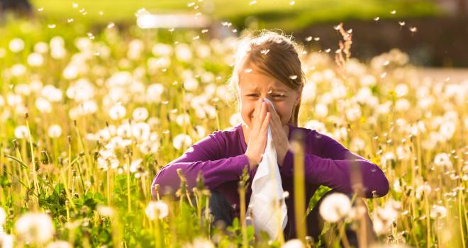 Pollenallergie Niesende Frau auf Wiese