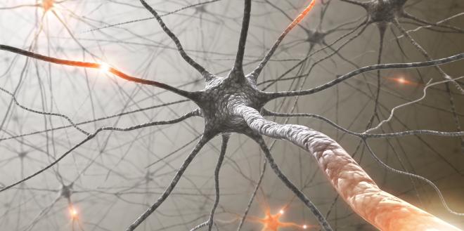 Epileptischer Anfall Nerven