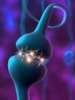 Neurinom Schwannom