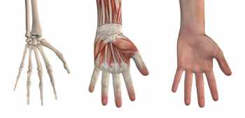 Schnellender Daumen Hand