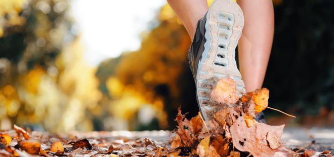 Joggen mit Kniearthrose Joggen mit Kniearthrose