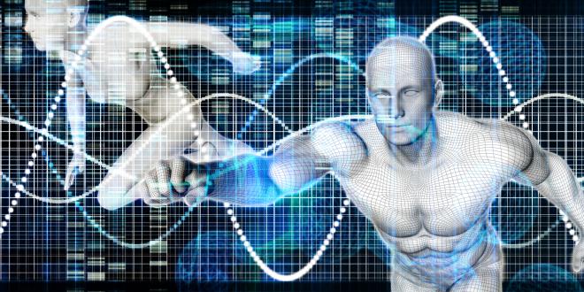 Biomechanik