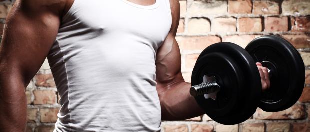 Muskelaufbautraining Muskelaufbau