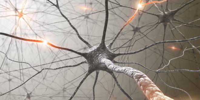 Beim epileptischen Anfall feuern die Nervenzellen im Gehirn ungesteuert.