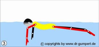 Bewegung Brustschwimmen