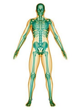 Orthopädie