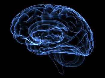 Liquor cerebrospinalis/ Nervenwasser