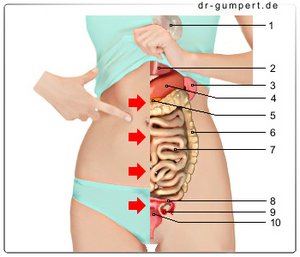 Abbildung linksseitiger Bauchraum