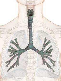 Bronchitis ansteckend?