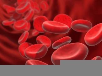 Calcitonin