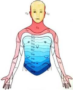 Dermatome Dermatome