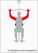 Latissimuszug