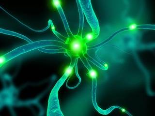 Neurofibromatose Typ 1